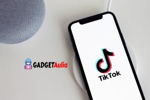 download video Tiktok tanpa watermark di iphone