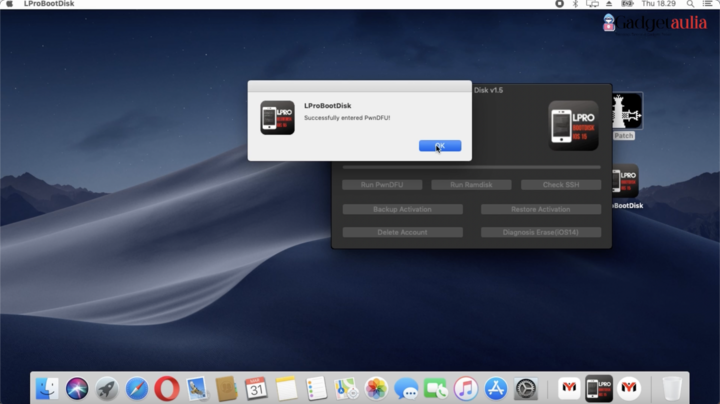Run PwnDFU Lpro Boot Disk