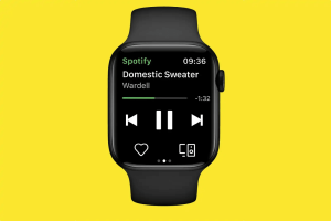 bug watchos 9 spotify