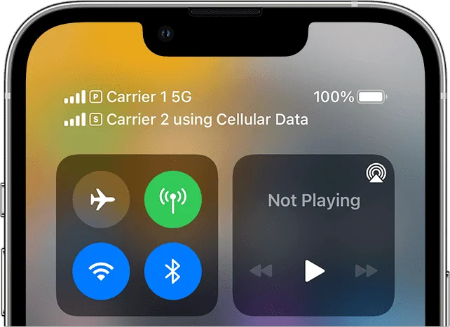 pengaturan eSIM iphone 14