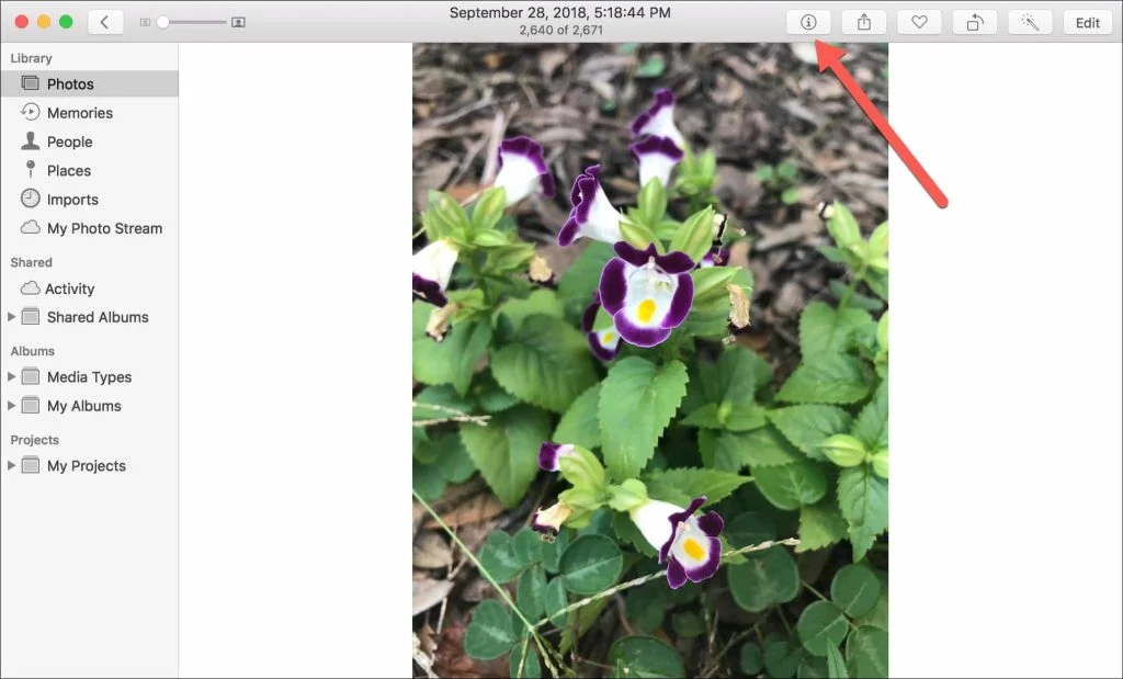 metadata exif foto