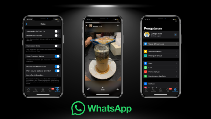 Cara Download Story Whatsapp di iPhone Tanpa Aplikasi